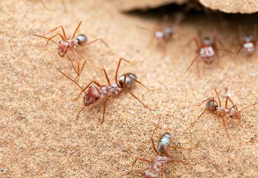 Hero Image Please enable images to view this content